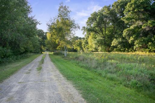 Scenic Driveway