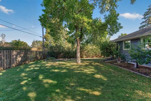 Large, flat and private backyard with nice mature trees