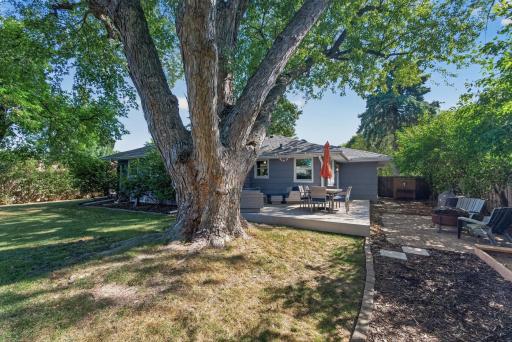 Large private back yard