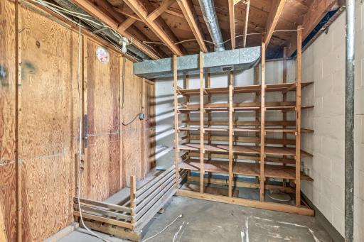 Lower-level storage room featuring built-in shelving, exposed utilities, and ample space for household or seasonal items.
