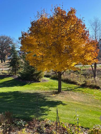 1430 25th Street, Houlton, WI 54082