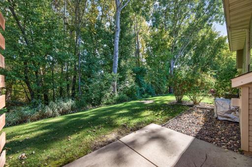 gorgeous private view off the back patio!