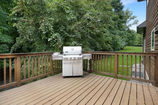 17763 Schurman Lane, Lake Park, MN 56554