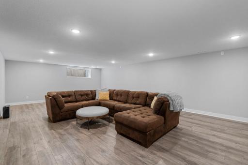Lower Level Family Room