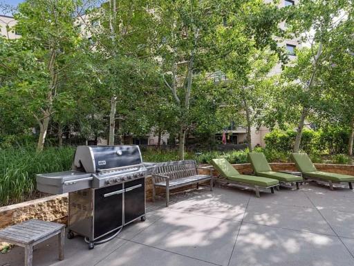 1200 Nicollet Mall, 217, Minneapolis, MN 55403