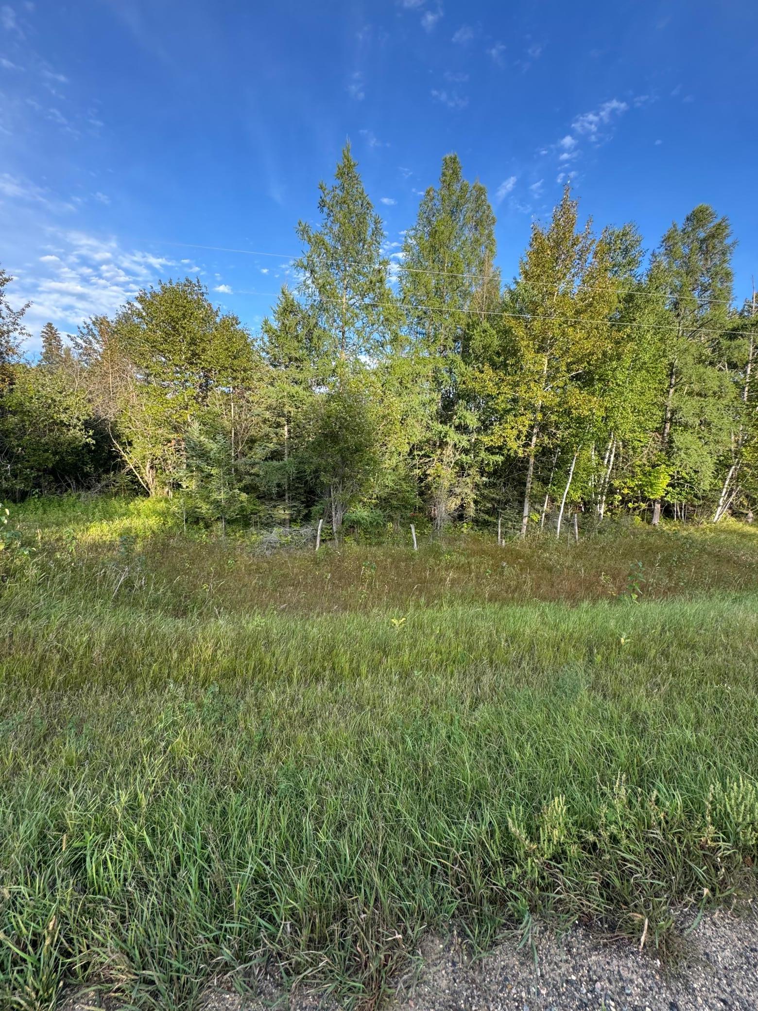 Property photo for TBD Gull Lake Loop Road, Hines, MN 56647