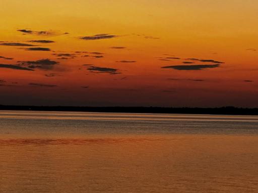 summer orange sky