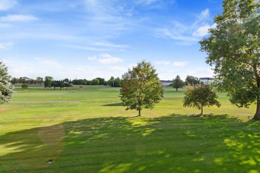 Backyard space and 12th fairway beyond