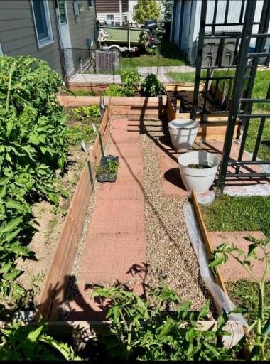 garden area back yard