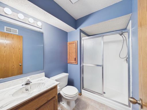 The finished lower level includes a convenient three-quarter bathroom.