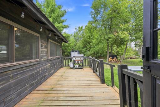 39441 Ironwood Trail, Frazee, MN 56544