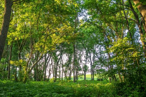 32592 Juniper Road, Chatfield, MN 55923