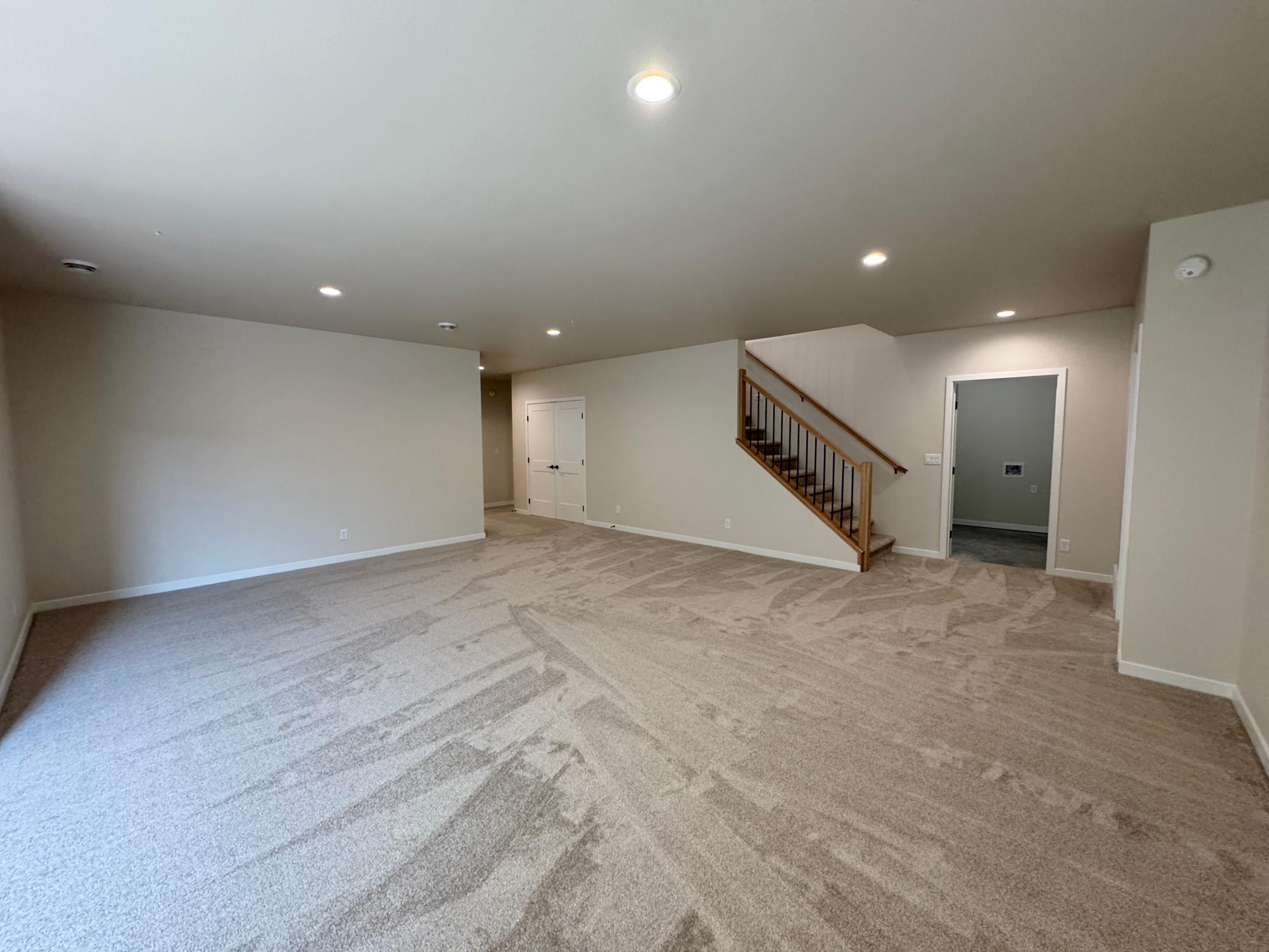 Basement Family Room