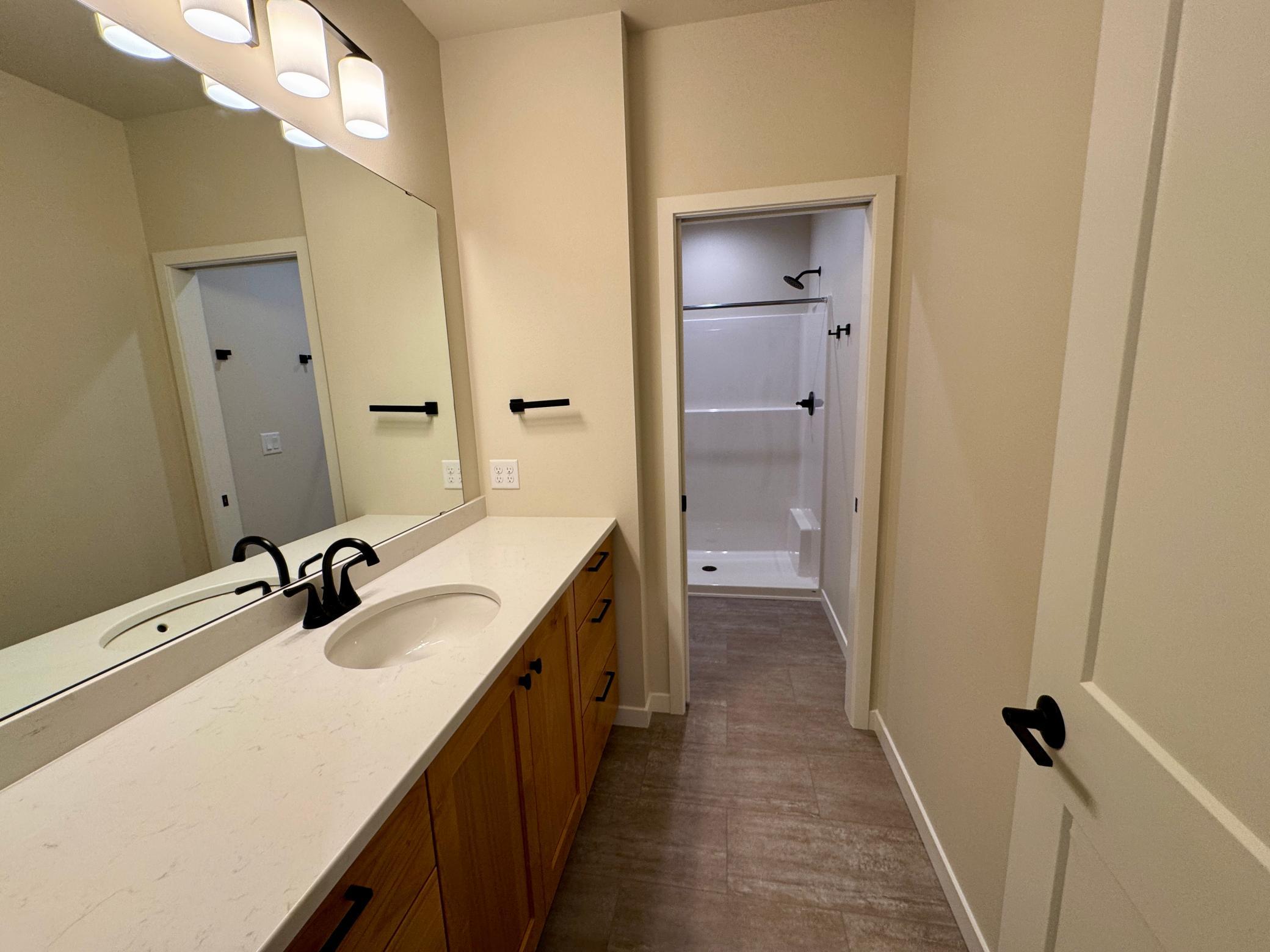 Basement Bathroom