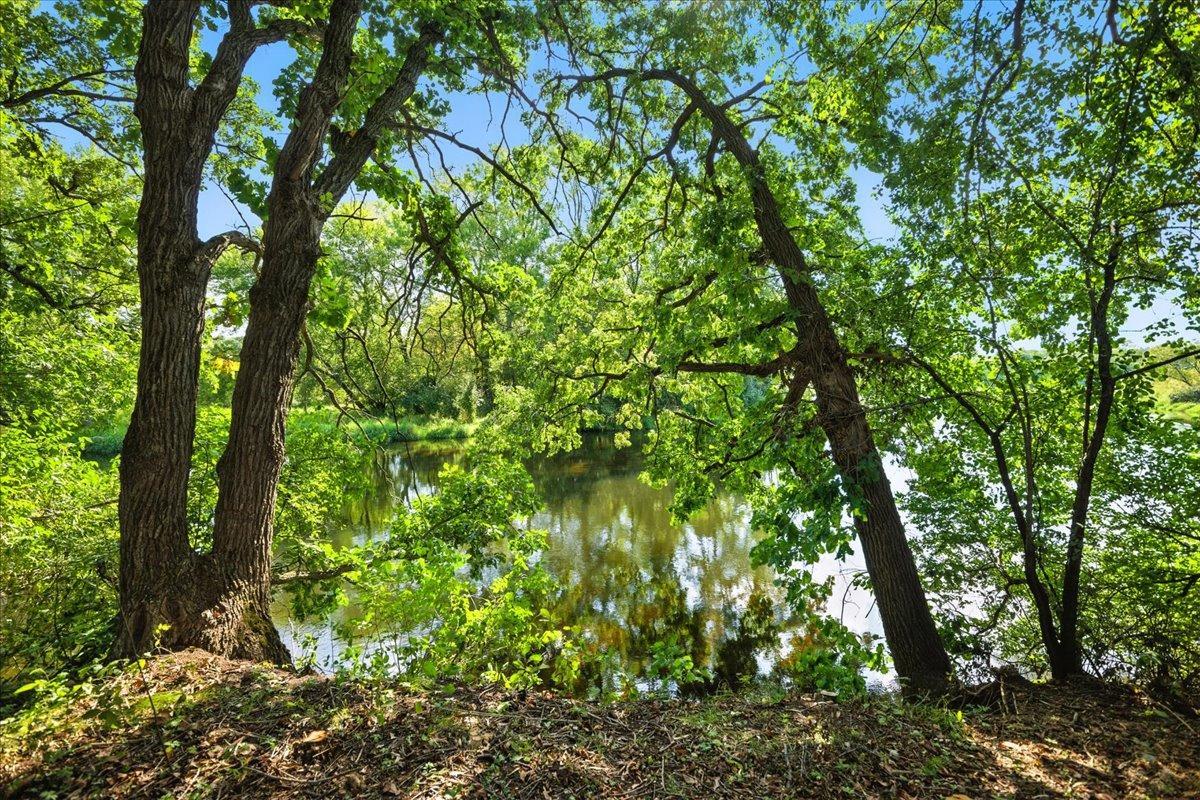 10-River View.jpg