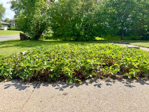 111 3rd Avenue N, Kelly Lake, MN 55746