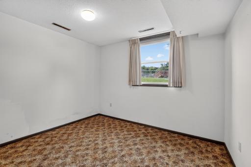 Lower level bedroom