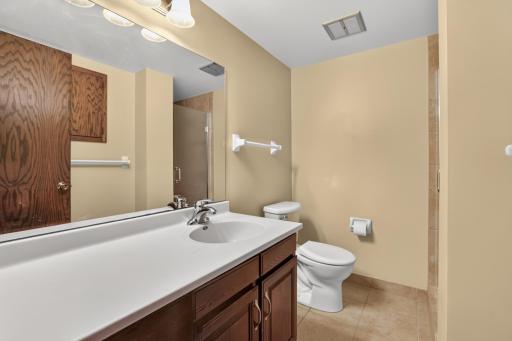 Lower level bathroom