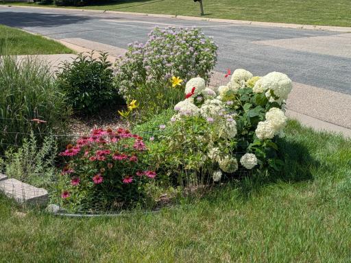 Enjoy a wide variety of plants and perennials including: Hydrangea, Ramblin' Red Rose, Peonies, Bee Balm, Russian Sage, Coneflowers, Sedum, Threadleaf Coreopsis, and Lavender.