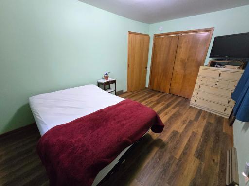 SE bedroom has LVP flooring & spacious closet