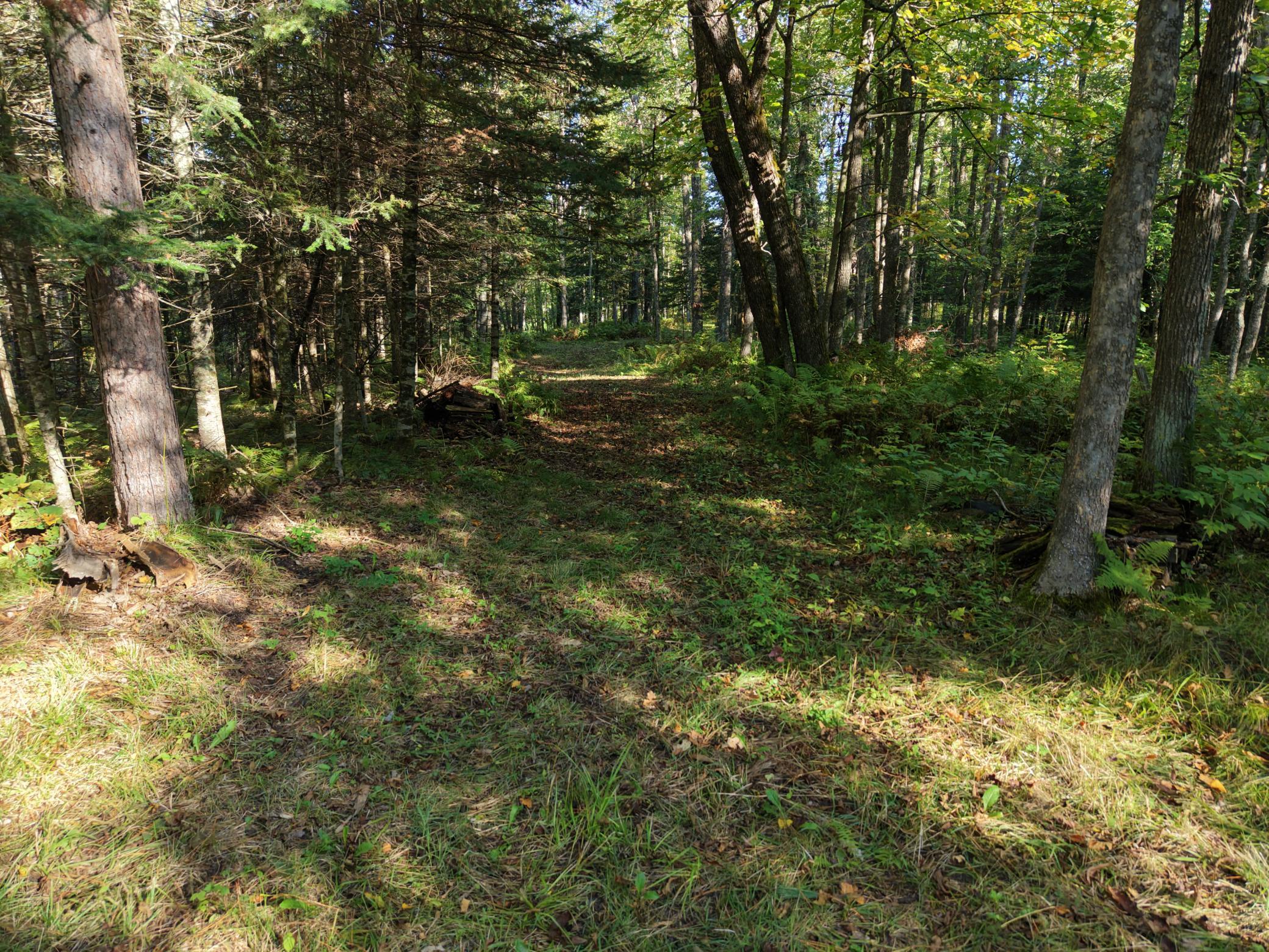 Photo 22