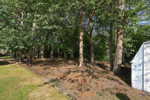 Fully Fenced in Backyard with trees for privacy!