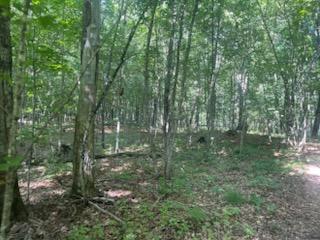 Photo for TBD Whitewater Road, Emily, MN 56447 - listing #7141767 TBD Whitewater Road, Emily, MN 56447