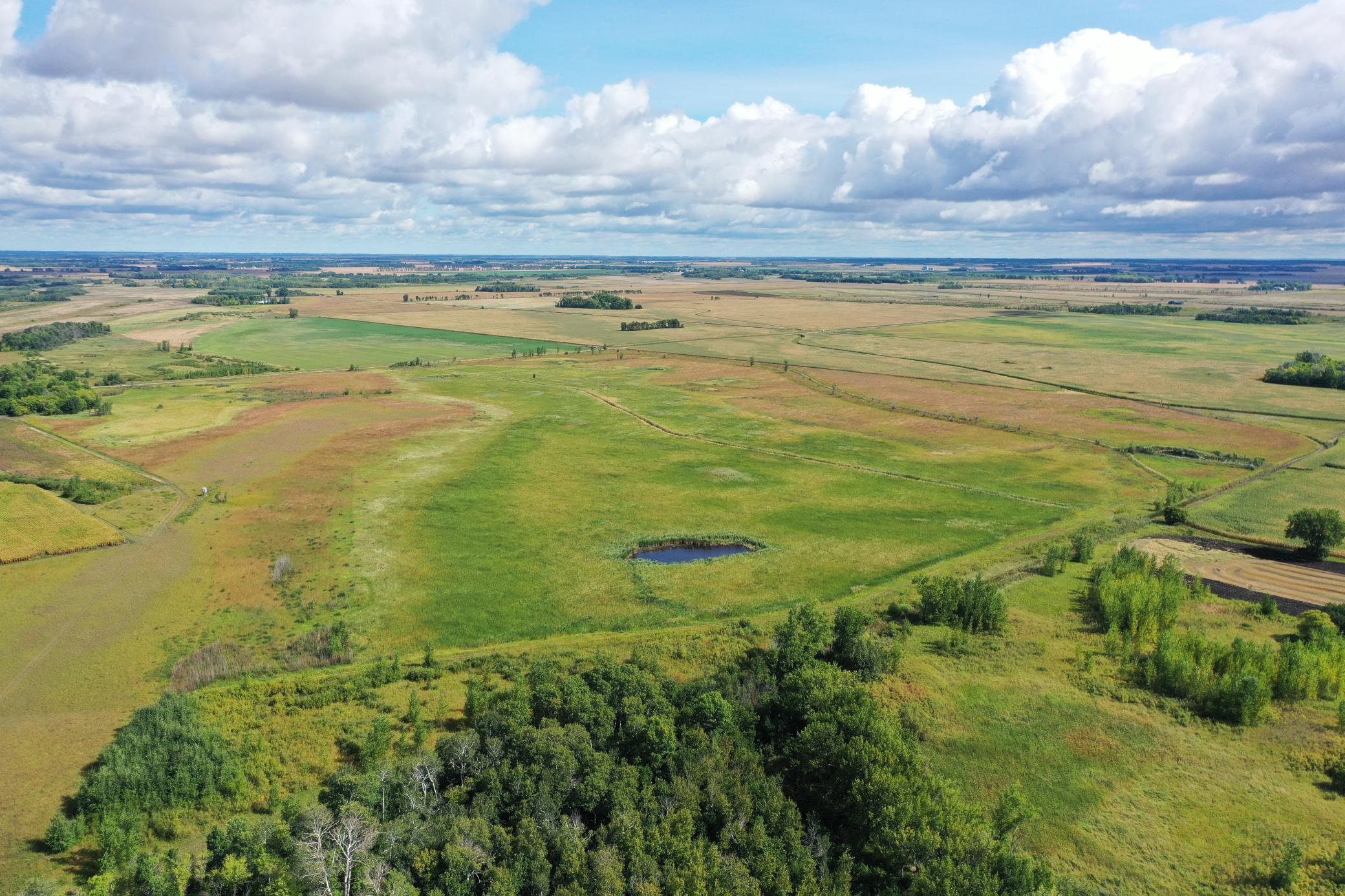 DJI_0191.JPG