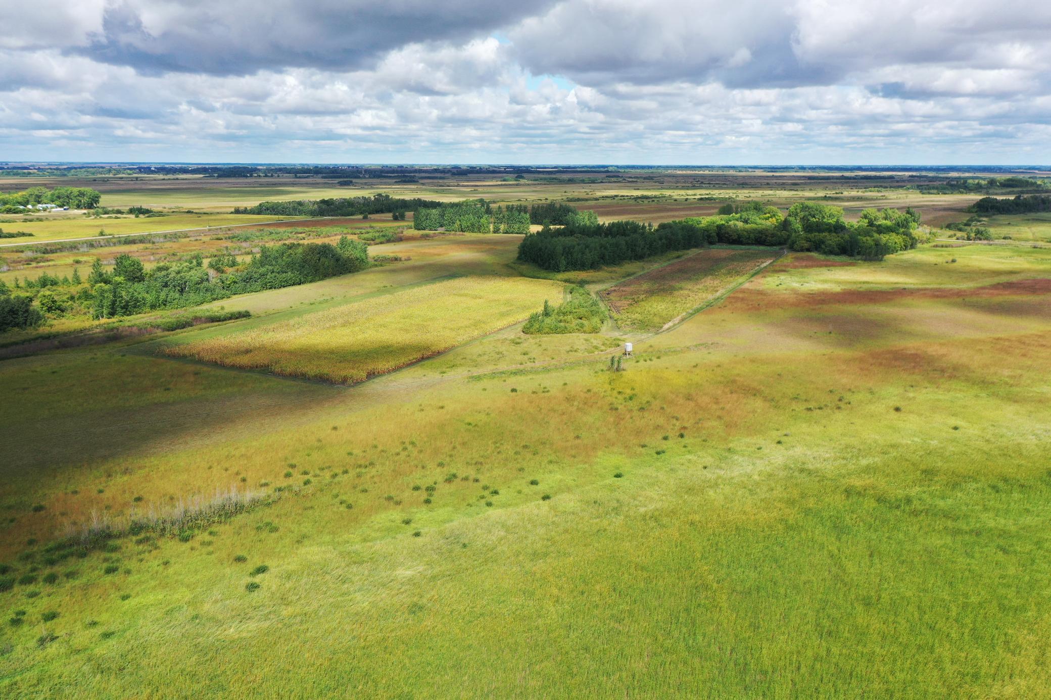DJI_0206.JPG