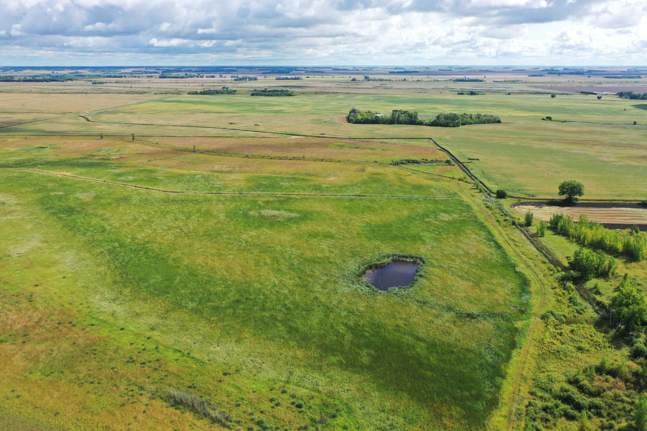 DJI_0195.JPG