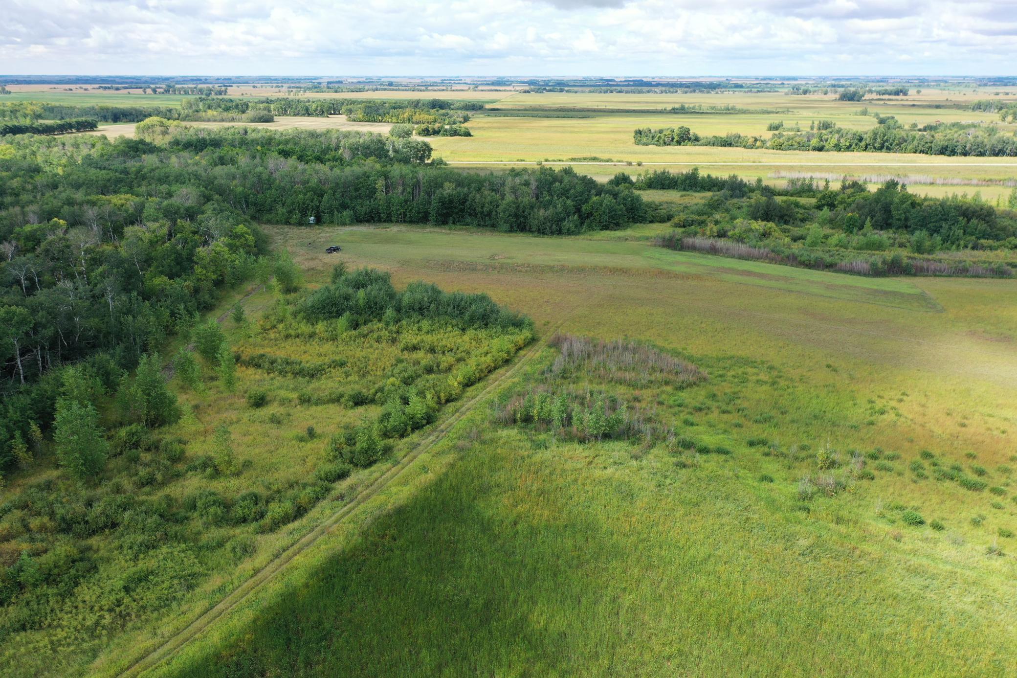 DJI_0205.JPG