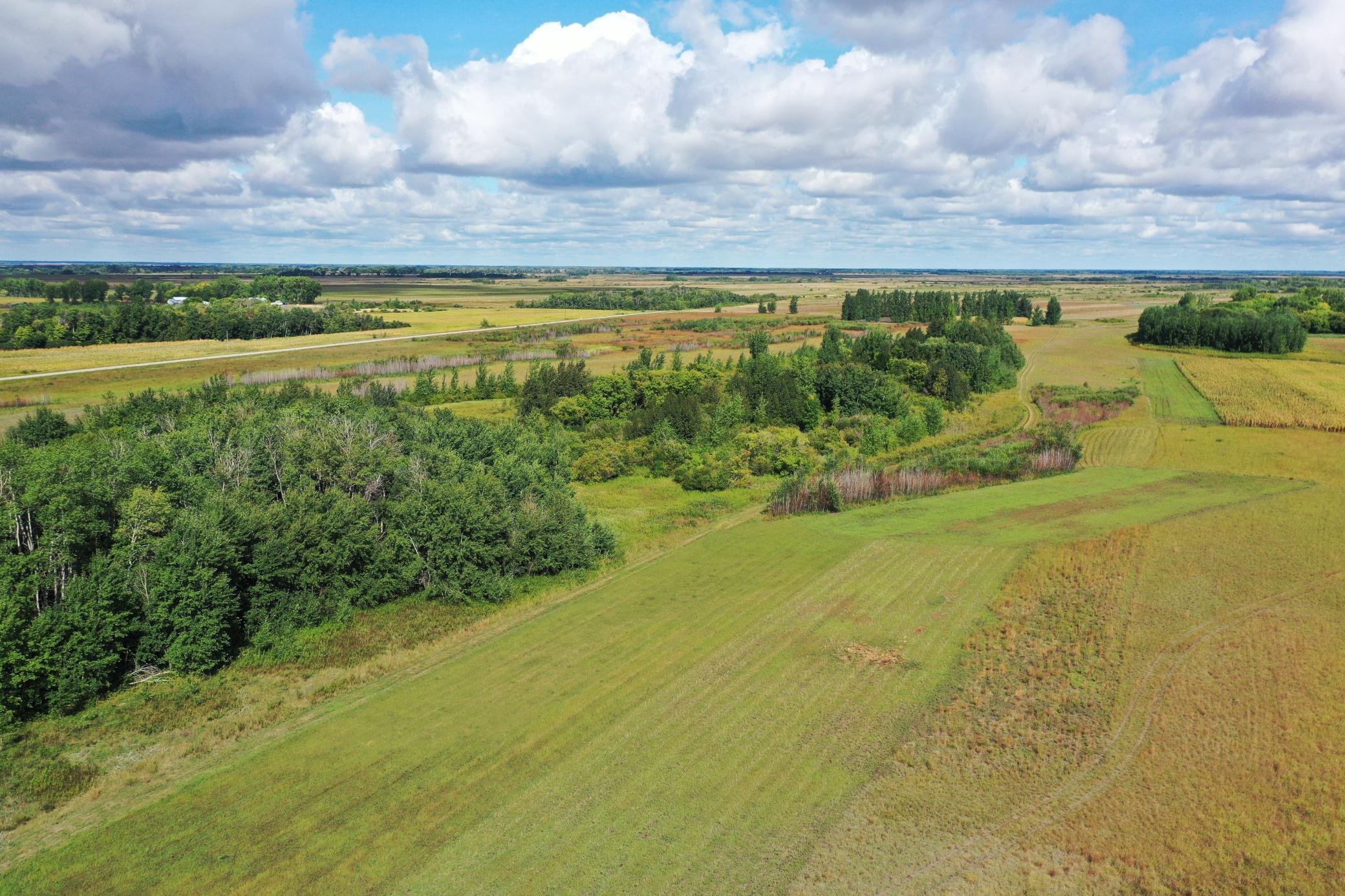 DJI_0187.JPG