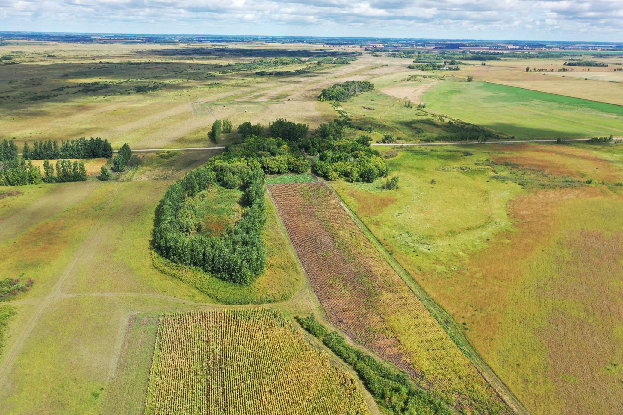 DJI_0196.JPG
