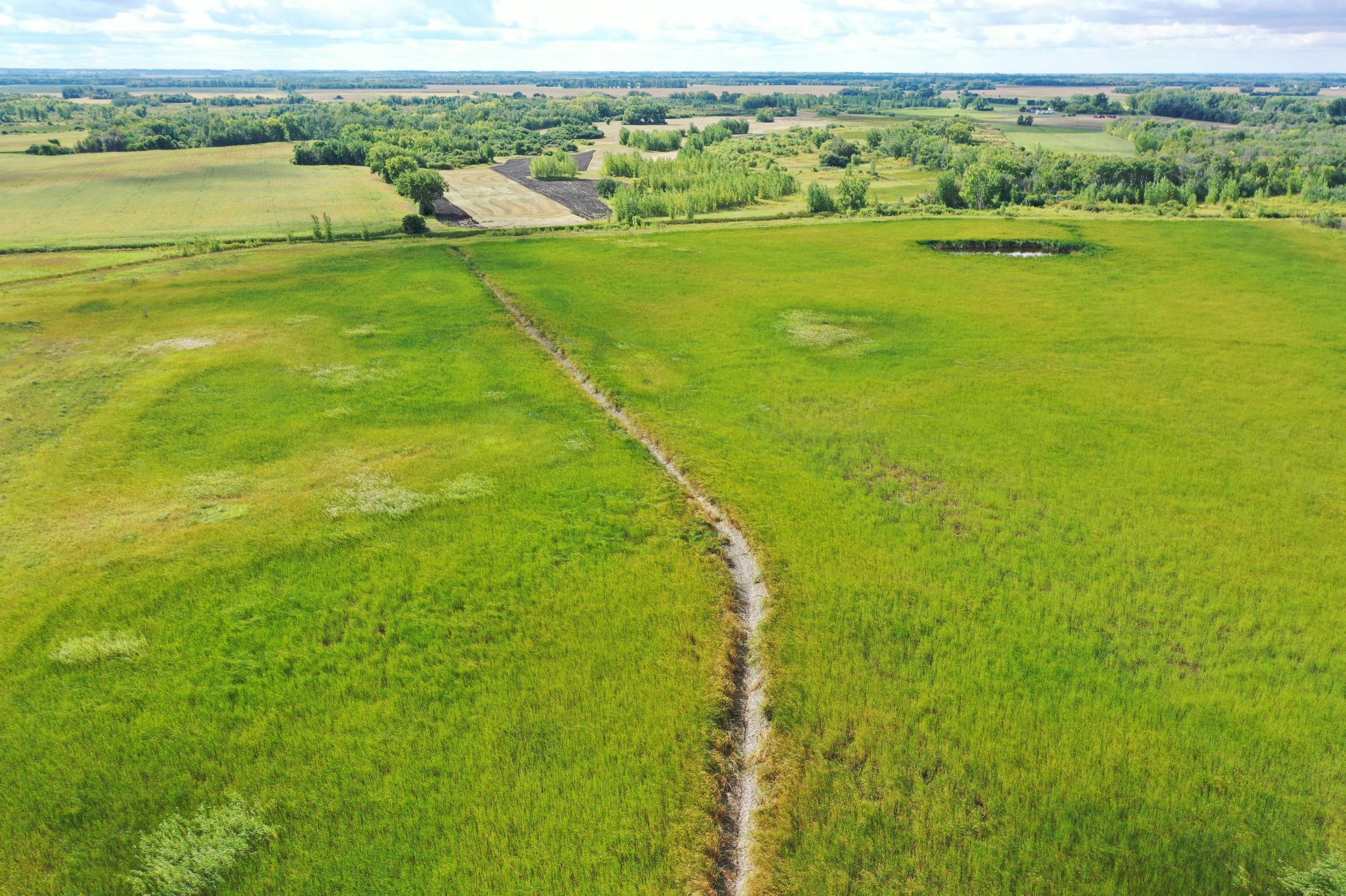 DJI_0202.JPG