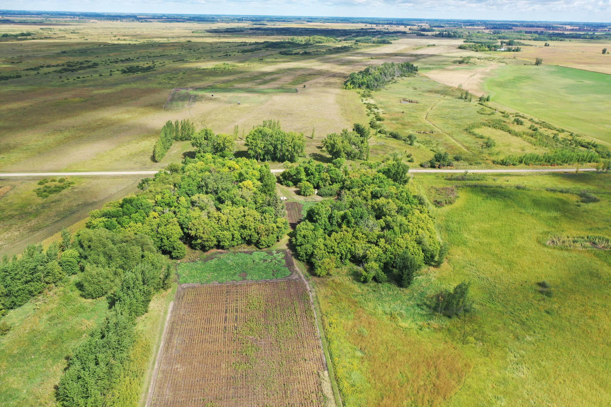 DJI_0197.JPG