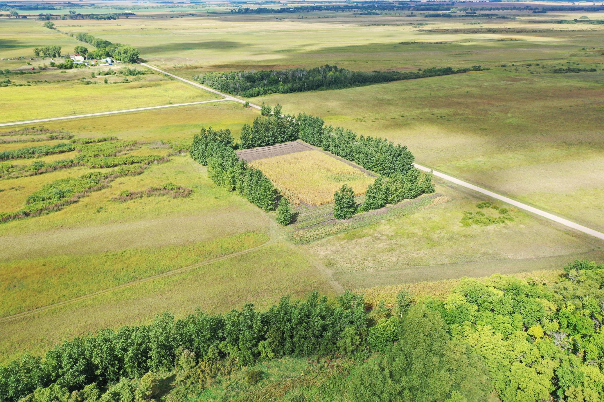 DJI_0199.JPG