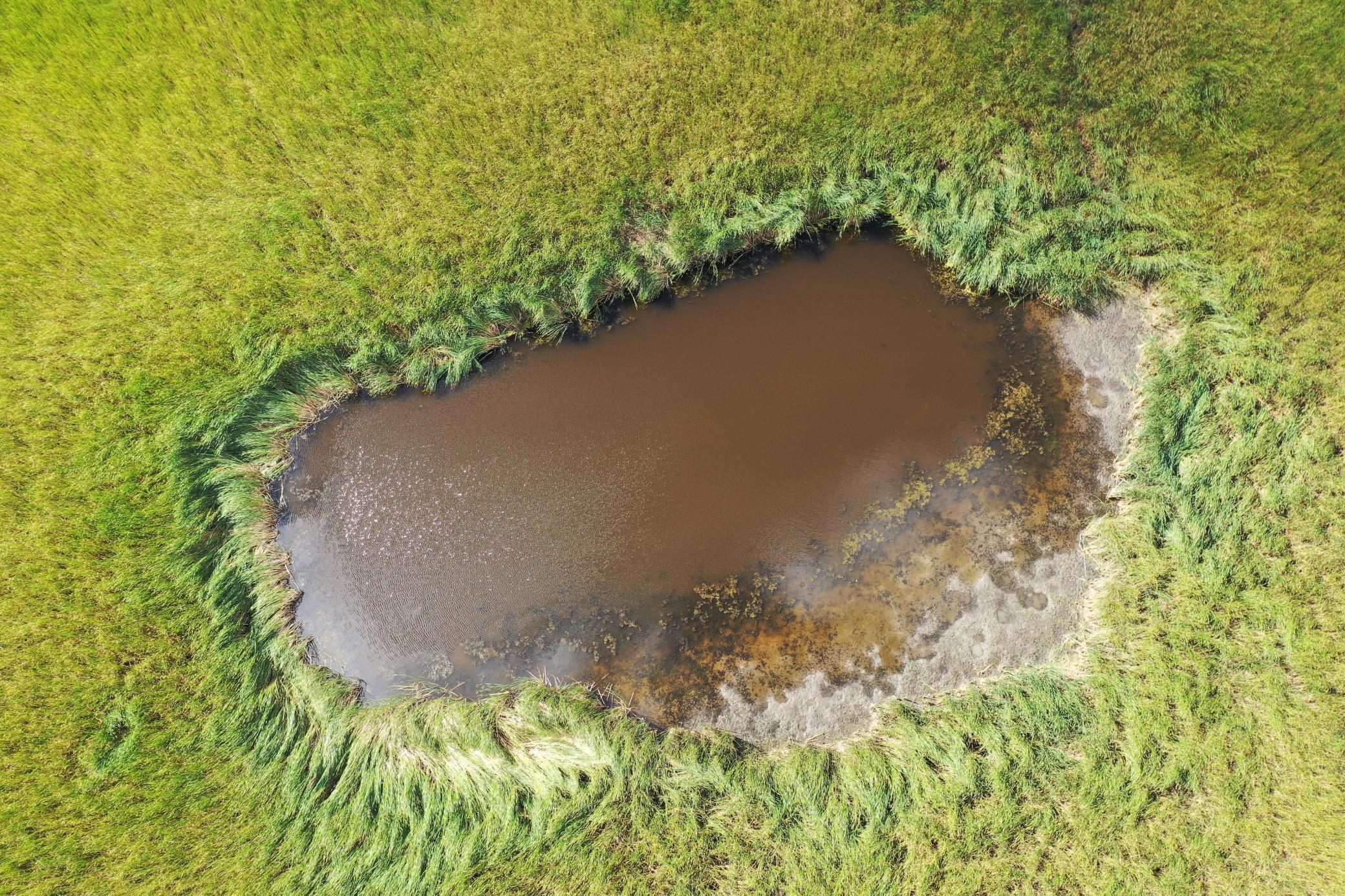 DJI_0204.JPG