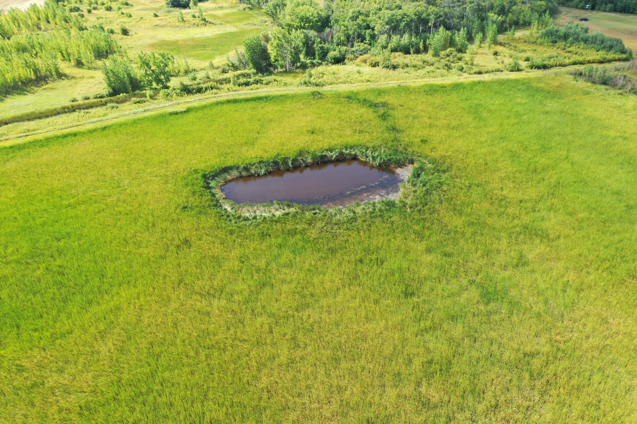 DJI_0203.JPG