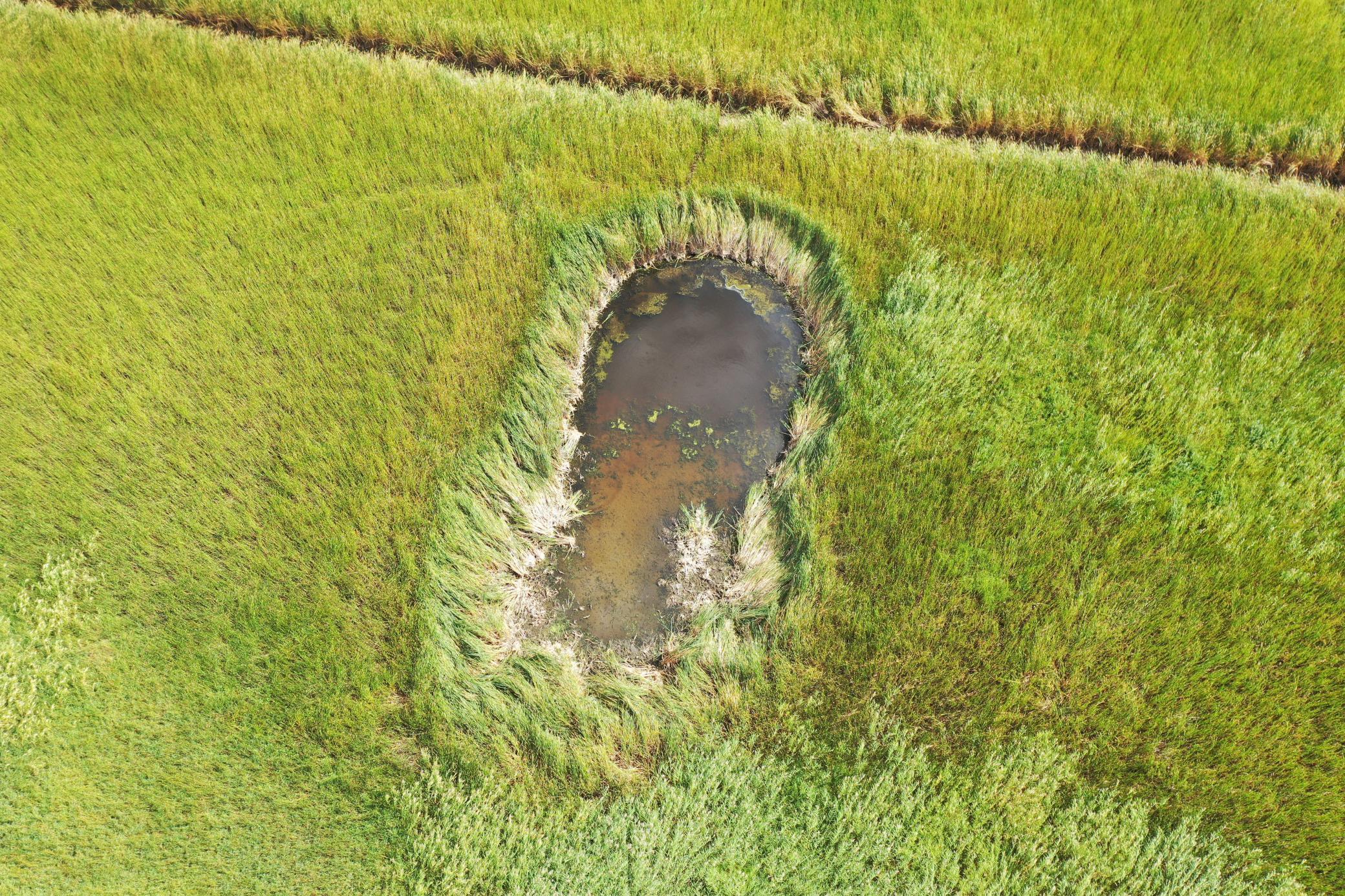 DJI_0200.JPG