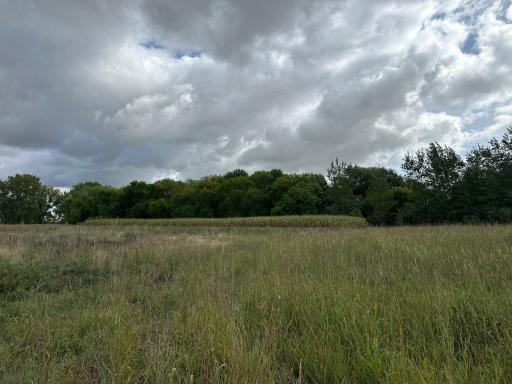 23307 210th Avenue N, Ulen, MN 56585