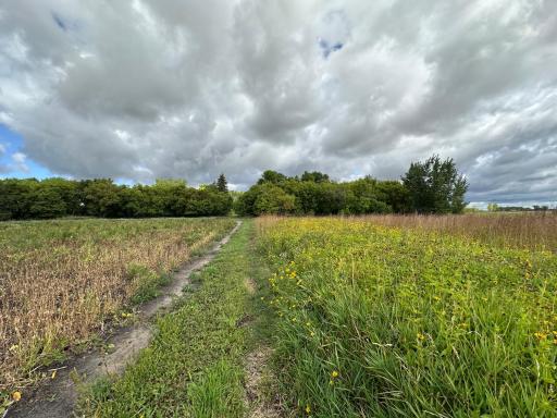 23307 210th Avenue N, Ulen, MN 56585