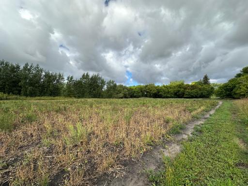 23307 210th Avenue N, Ulen, MN 56585