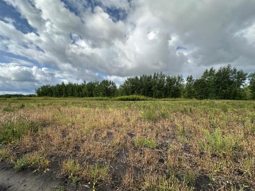 23307 210th Avenue N, Ulen, MN 56585