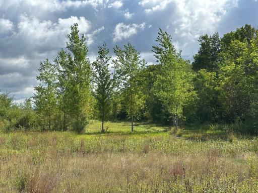 23307 210th Avenue N, Ulen, MN 56585