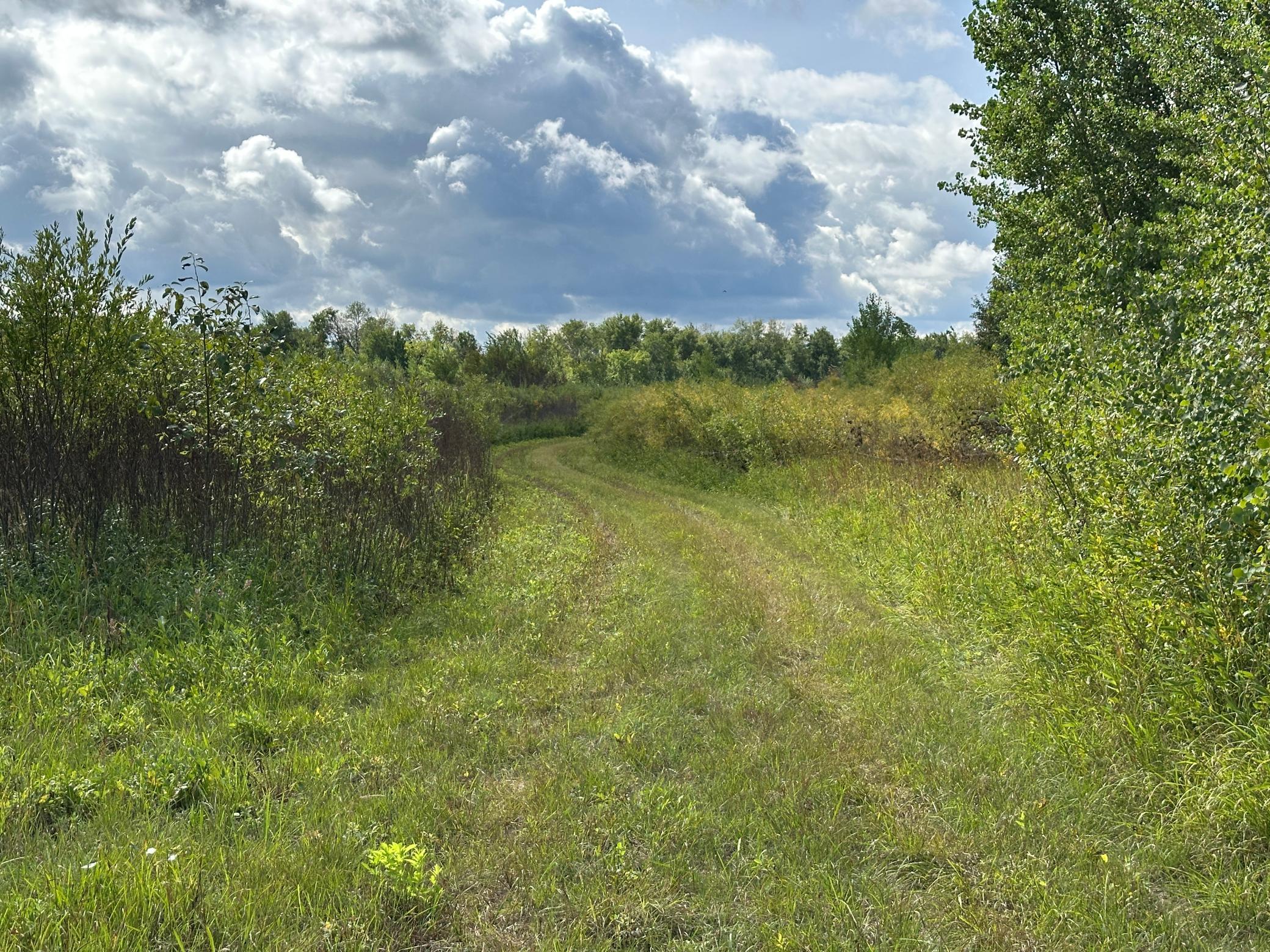 IMG_9627.JPG