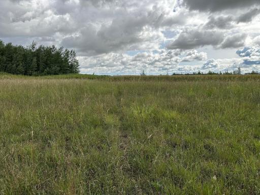 23307 210th Avenue N, Ulen, MN 56585
