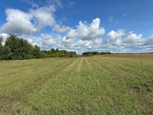 23307 210th Avenue N, Ulen, MN 56585