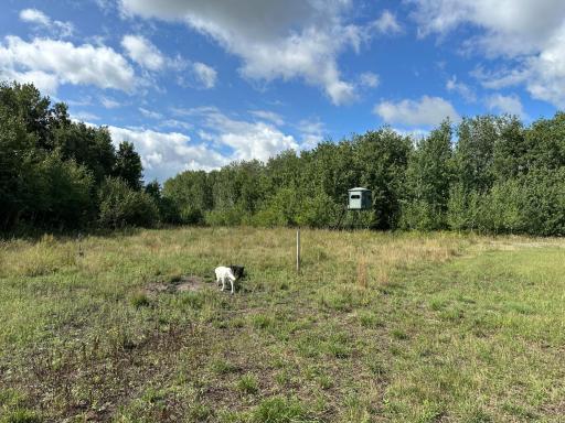 23307 210th Avenue N, Ulen, MN 56585