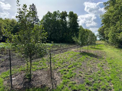 23307 210th Avenue N, Ulen, MN 56585
