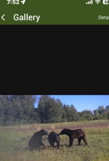 23307 210th Avenue N, Ulen, MN 56585
